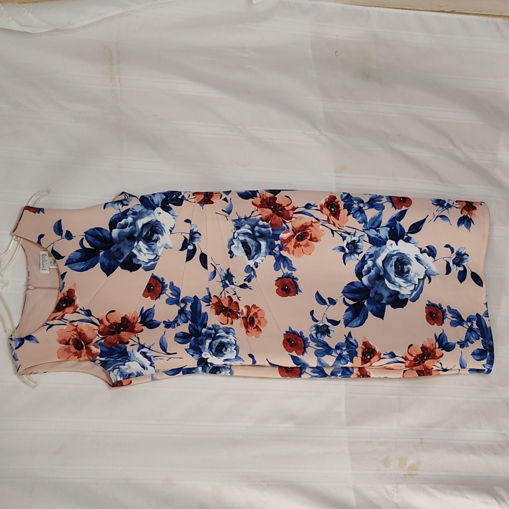 Enfocus Studio Dress
